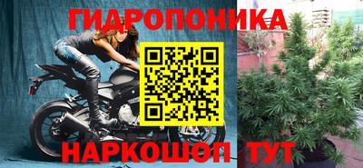 винт Дубна